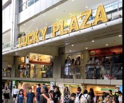 Lucky Plaza (D9), Shop House #531635231
